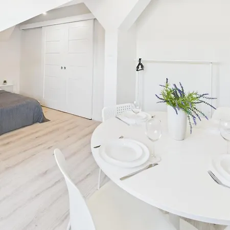Bright With Air Conditioning Near The Copernicus Science Center In By Renters Apartment Warsaw