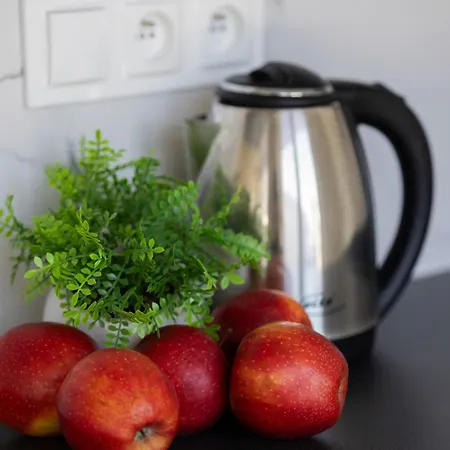 Apartment Bright With Air Conditioning Near The Copernicus Science Center In By Renters Warsaw