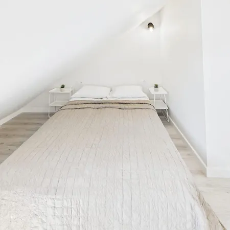 Appartement Bright With Air Conditioning Near The Copernicus Science Center In By Renters Varsovie